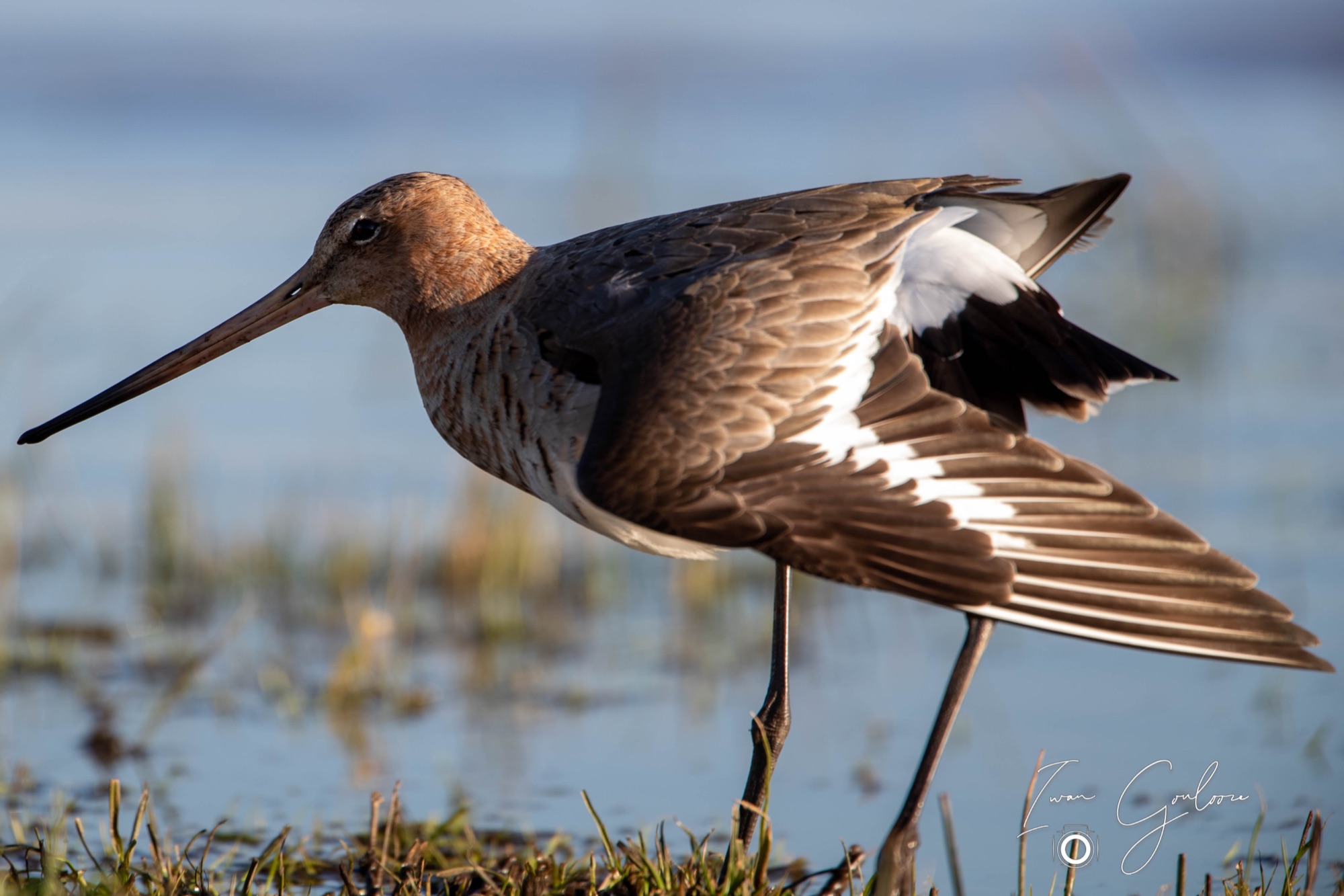 03 maart 2022 171844 1DX43464